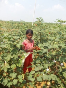 Photo from the ICN/Stop Child Labour Report